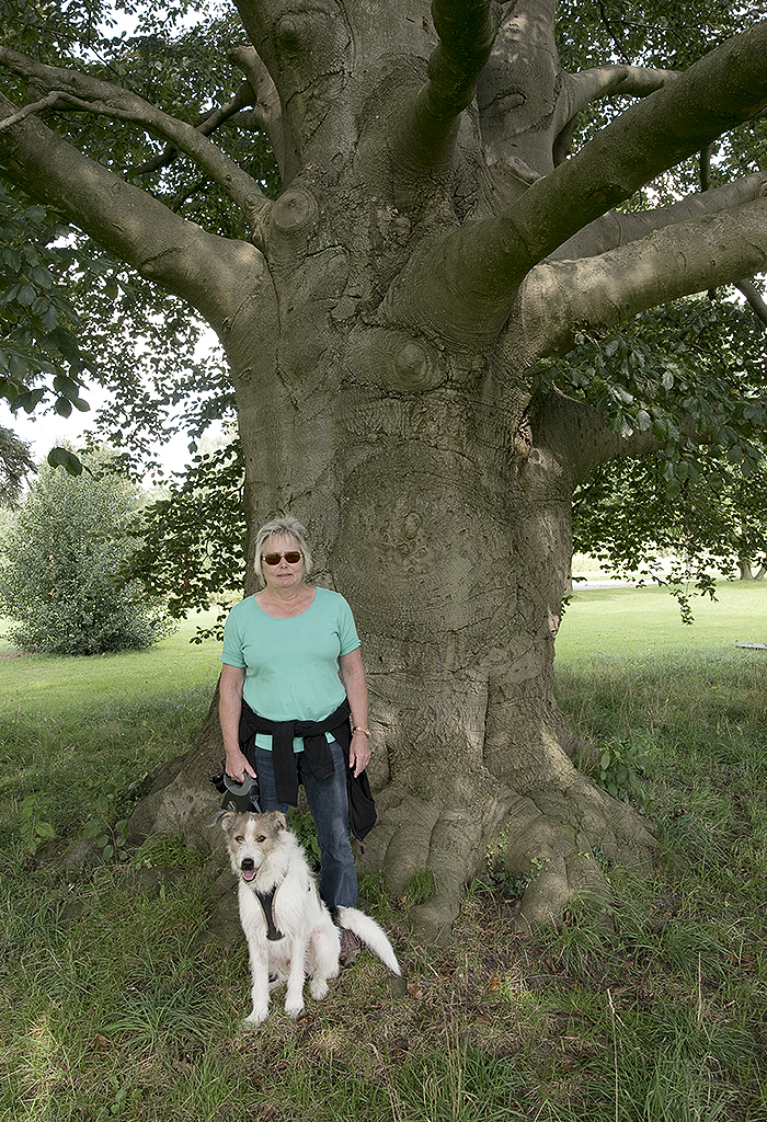 Schleswig Holstein Ostsee 09_2015 KA7_3635 als Smartobjekt-1 Kopie.jpg - Bei einem Spaziergang haben wir diesen  Koloss von Baum entdeckt